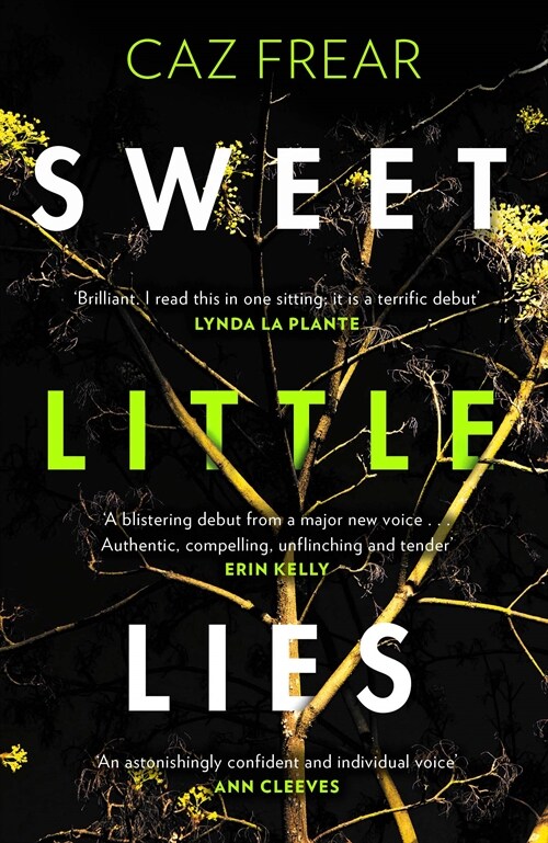 Sweet Little Lies : The Number One Bestseller (Paperback)