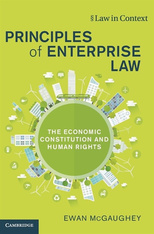 Principles of Enterprise Law : The Economic Constitution and Human Rights (Hardcover)