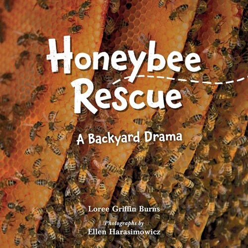 Honeybee Rescue: A Backyard Drama (Hardcover)