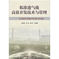 低渗透氣藏高效開發技術與管理-长慶油田长北國際合作项目開發實踐 (平裝, 1)