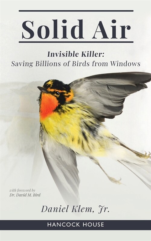 Solid Air: Invisible Killer- Saving Birds from Windows (Hardcover)
