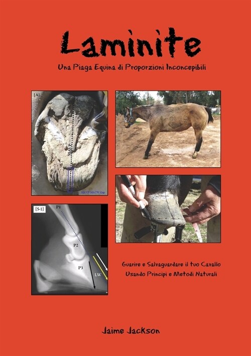 Laminite, Una Piaga Equina di Proporzioni Inconcepibili (Paperback)