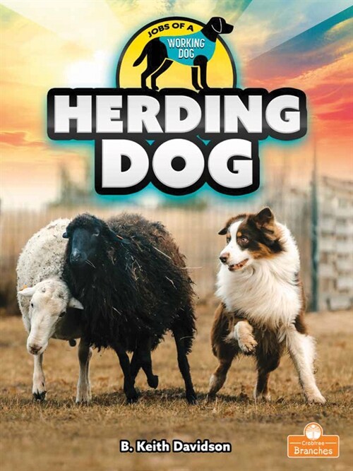 Herding Dog (Paperback)