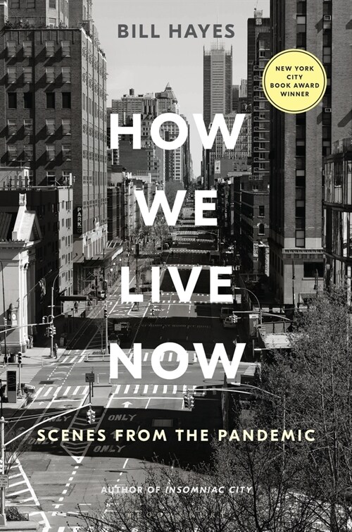 How We Live Now: Scenes from the Pandemic (Paperback)