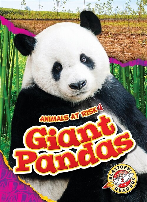 Giant Pandas (Library Binding)