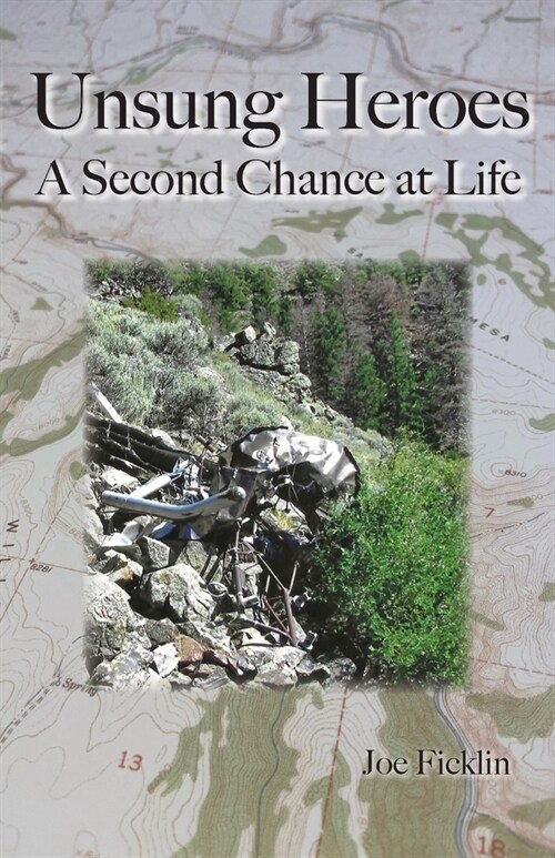 Unsung Heroes: A Second Chance at Life (Paperback)