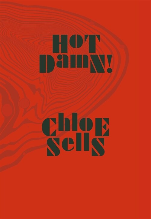 Hot Damn! (Hardcover)