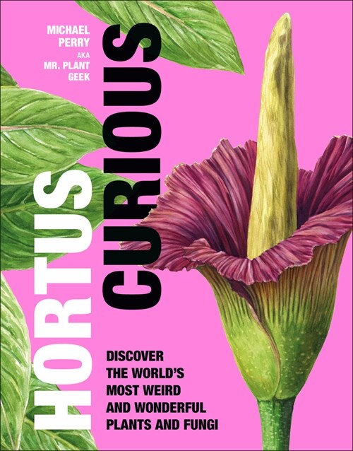 Hortus Curious: Discover the Worlds Most Weird and Wonderful Plants and Fungi (Hardcover)