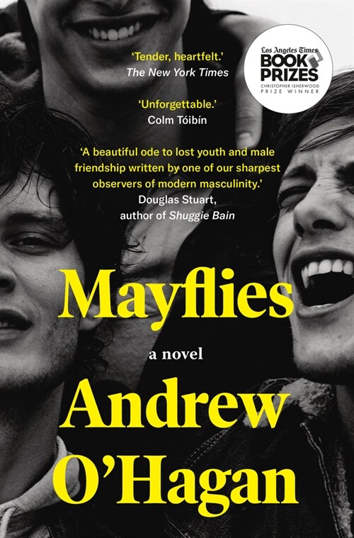 Mayflies (Paperback)