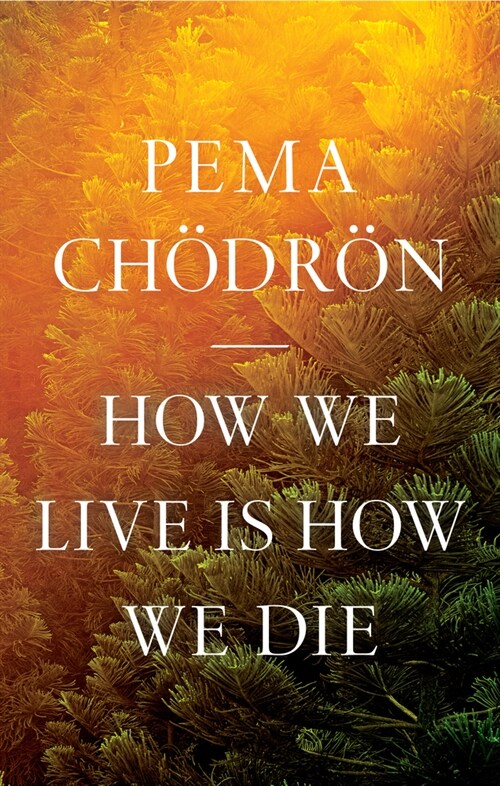 How We Live Is How We Die (Hardcover)