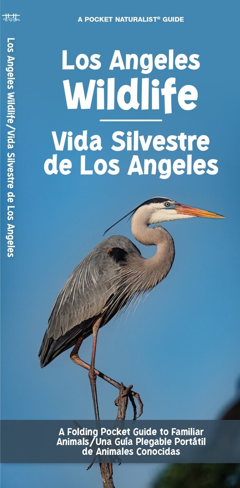 Los Angeles Wildlife/Vida Silvestre de Los Angeles: A Folding Pocket Guide to Familiar Animals/ Una Gu? Plegable Port?il de Animales Conocidas (Paperback)