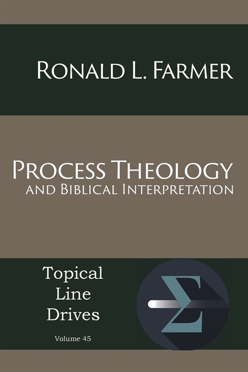 Process Theology and Biblical Interpretation (Paperback)