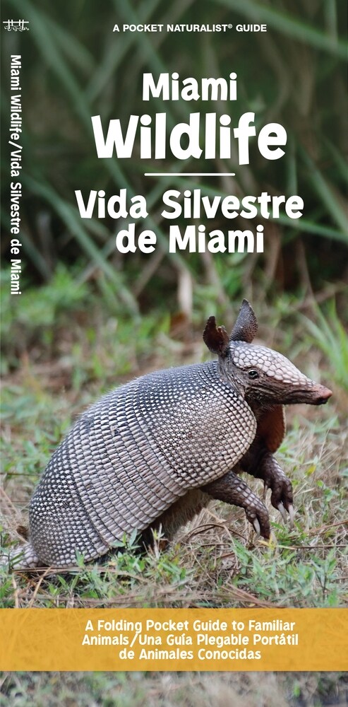 Miami Wildlife/Vida Silvestre de Miami: A Folding Pocket Guide to Familiar Animals/Una Gu? Plegable Port?il de Animales Conocidas (Paperback)