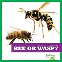 Bee or wasp? 