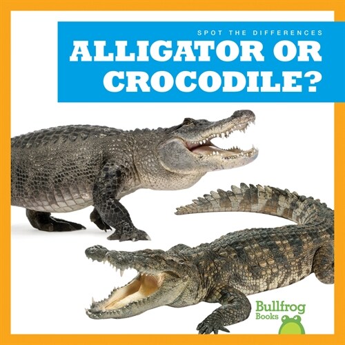 Alligator or Crocodile? (Paperback)