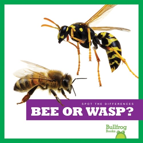 Bee or Wasp? (Paperback)
