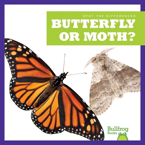 Butterfly or Moth? (Paperback)