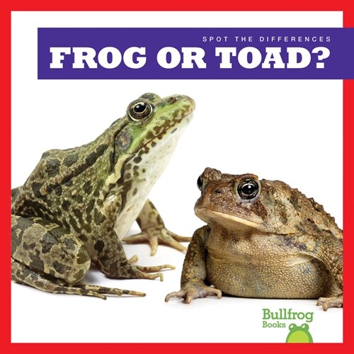 Frog or Toad? (Paperback)