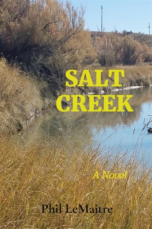 Salt Creek (Paperback)