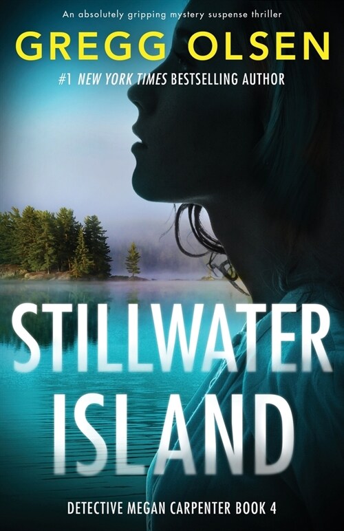 Stillwater Island: An absolutely gripping mystery suspense thriller (Paperback)
