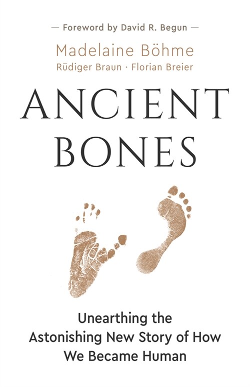 Ancient Bones: Unearthing the Astonishing New Story of How We Became Human (Paperback)