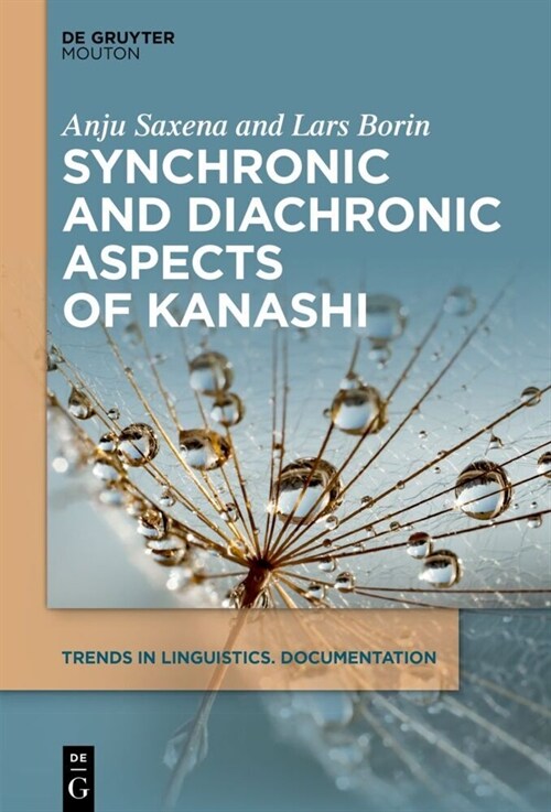 Synchronic and Diachronic Aspects of Kanashi (Hardcover)