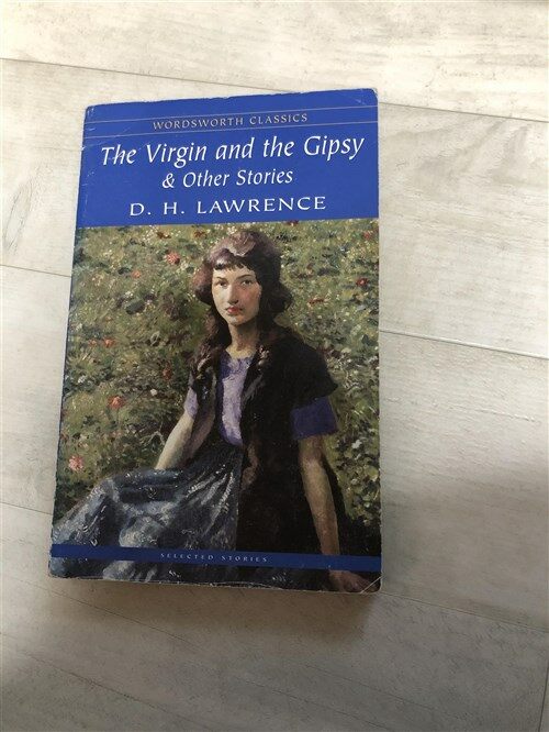 [중고] The Virgin and The Gipsy & Other Stories (Paperback, New ed)