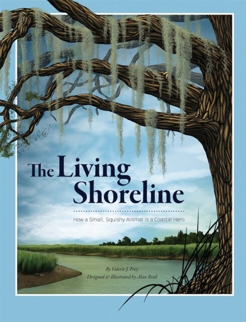 The Living Shoreline: How a Small, Squishy Animal Is a Coastal Hero (Paperback)