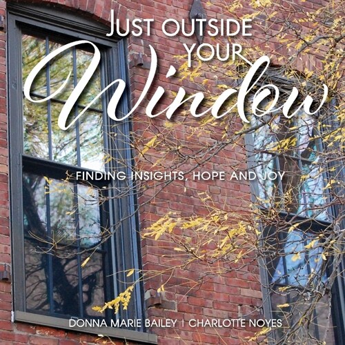 Just Outside Your Window: Finding Insights, Hope and Joy (Paperback)