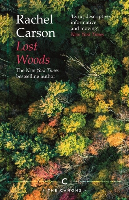 Lost Woods (Paperback, Main - Canons)