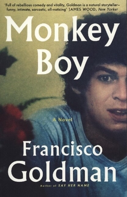 Monkey Boy (Paperback)