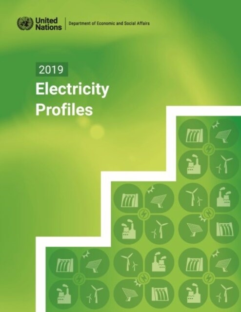 2019 Electricity Profiles (Paperback)