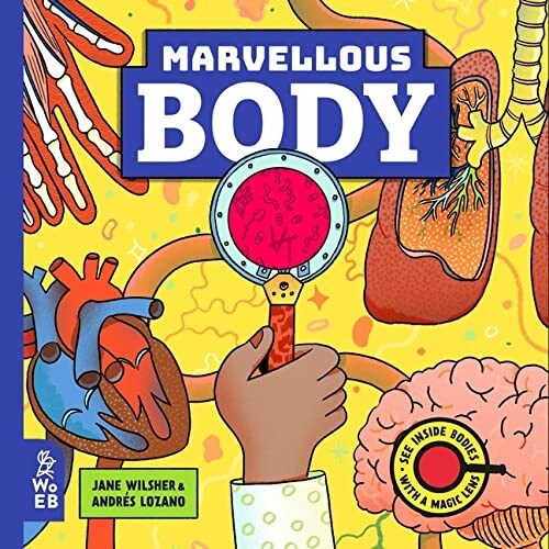 Marvellous Body : A Magic Lens Book (Hardcover)