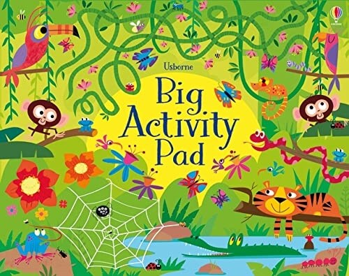 Big Activity Pad (Paperback)