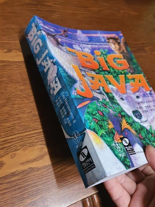 [중고] Big JAVA