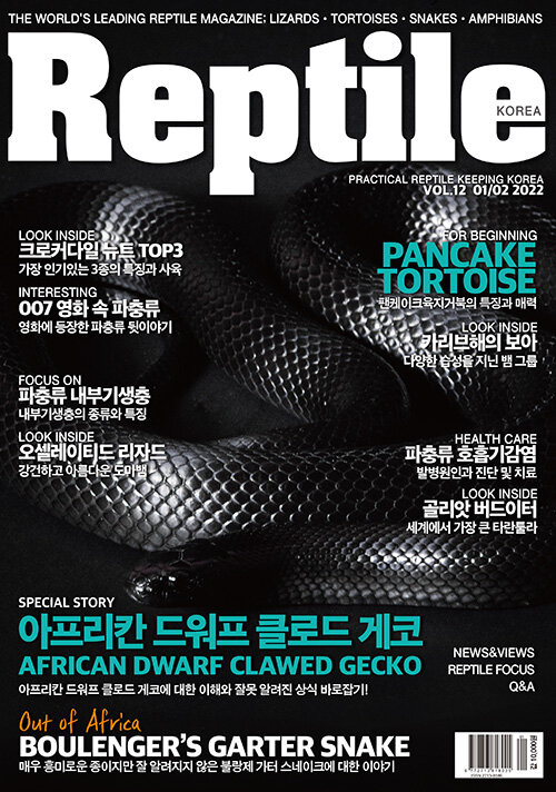 Reptile KOREA 렙타일 코리아 2022.01.02