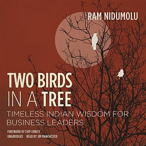 Two Birds in a Tree: Timeless Indian Wisdom for Business Leaders (Audio CD)