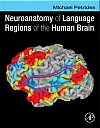 Neuroanatomy of Language Regions of the Human Brain (Hardcover, 1st)