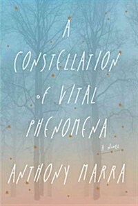 A Constellation of Vital Phenomena (Hardcover, Large Print)