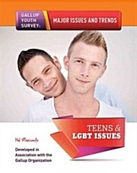 Teens & Lgbt Issues (Hardcover)