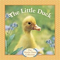The Little Duck (Board Books)