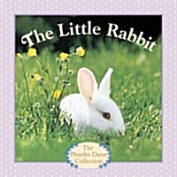 The Little Rabbit (Board Books)
