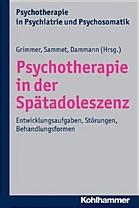 Psychotherapie in Der Spatadoleszenz: Entwicklungsaufgaben, Storungen, Behandlungsformen (Paperback)