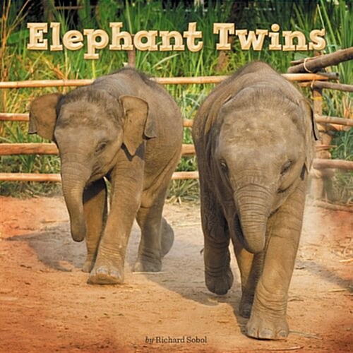 Elephant Twins (Paperback)