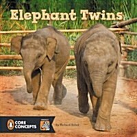 Elephant Twins (Hardcover)