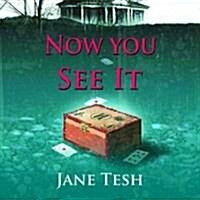 Now You See It: A Grace Street Mystery (MP3 CD)