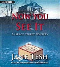 Now You See It: A Grace Street Mystery (Audio CD)