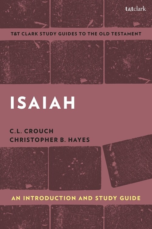 Isaiah: An Introduction and Study Guide : A Paradigmatic Prophet and His Interpreters (Hardcover)