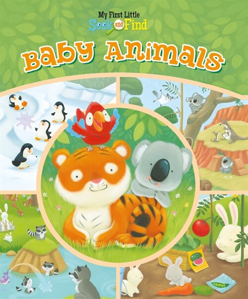 My First Little Seek and Find: Baby Animals (Paperback)