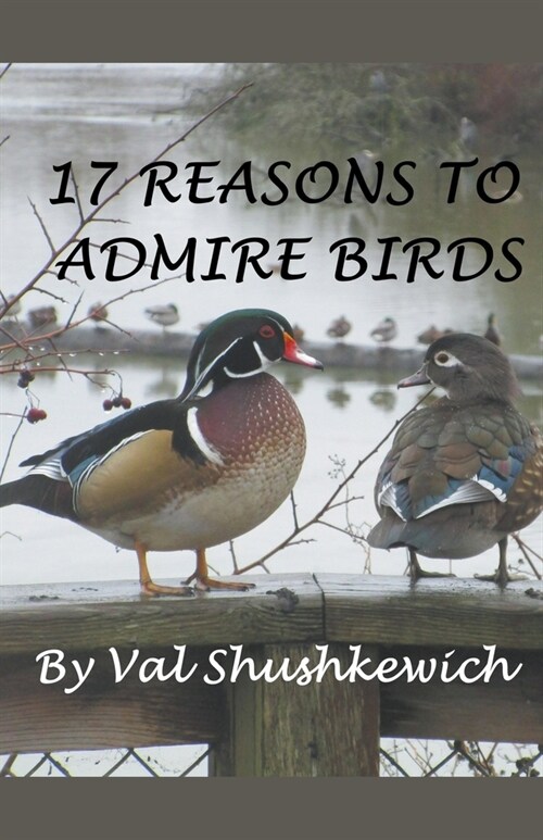 17 Reasons to Admire Birds (Paperback)